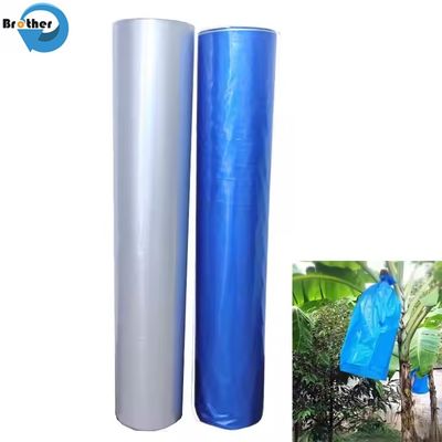 Blue Perforated Polyethylene Banana Protection Bag Recycled Materials Eco-Friendly Bunch Cover for Bananas