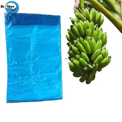 Large Perforated Polyethylene Plastic Bag Banana Protective Bag Banana Bundle China Supplier