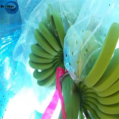Fruit Storage Plastic Bags with Air Holes Banana Bunch and Grape Transportation Bag Protection Cover