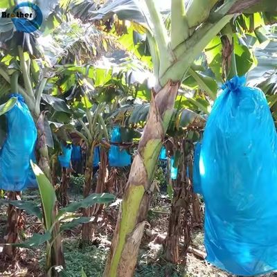 Fruit Storage Plastic Bags with Air Holes Banana Bunch and Grape Transportation Bag Protection Cover