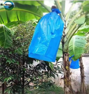 Blue Perforated Polyethylene Plastic Banana Protection Bag Banana Bunch Cover