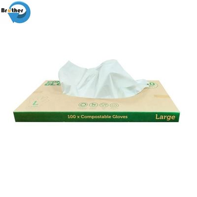 100% Biodegradable Compostable Transparent Disposable Plastic Gloves for Food Kitchen Snack