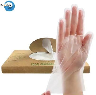 100% Biodegradable Compostable Transparent Disposable Plastic Gloves for Food Kitchen Snack