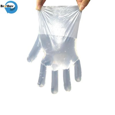 Food Grade Compostable Gloves Medium Thickness PE Material Biodegradable Disposable Tableware Package Certified Pla