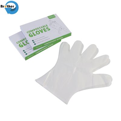 100% Biodegradable PLA PBAT Compostable Plastic Kitchen Disposable Gloves for Household Use