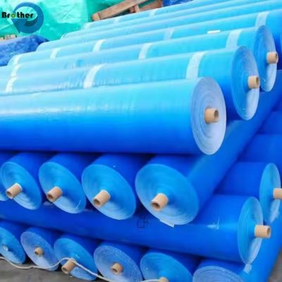 Virgin HDPE tarps Chinese Plastic Pe Tarpaulin Roll Price Manufacturers Custom PE Tarpaulin
