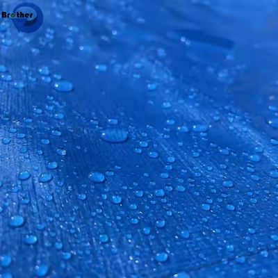 ￼ OEM China Manufacturer Customizable Polyethylene Tarpaulin PE Tarp White