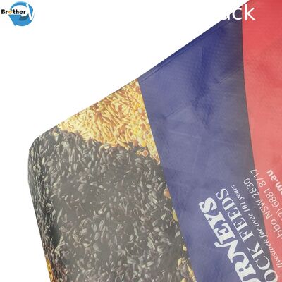 High Strength Laminated Polypropylene Bags Rice Packing With Double Stitches