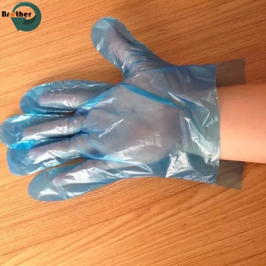 Disposable Gloves HDPE Material Food Grade Thickened PE Film for Takeaway Crayfish Beauty Salon Manufactured Top Manufacturers
