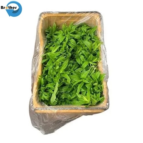 5 15 30 55 Gallon 15 30 100 200 Liter LDPE Transparent Round Bottom Plastic Drum Liners Bags
