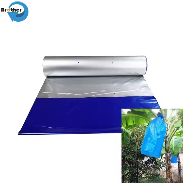 Banana Plastic Bag for Fruit Growing Protection Agricultural Plastic Product Exported to Middle America