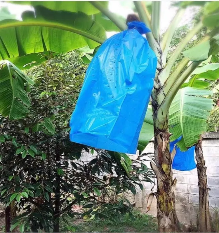 Fruit Storage Plastic Bags with Air Holes Banana Bunch and Grape Transportation Bag Protection Cover