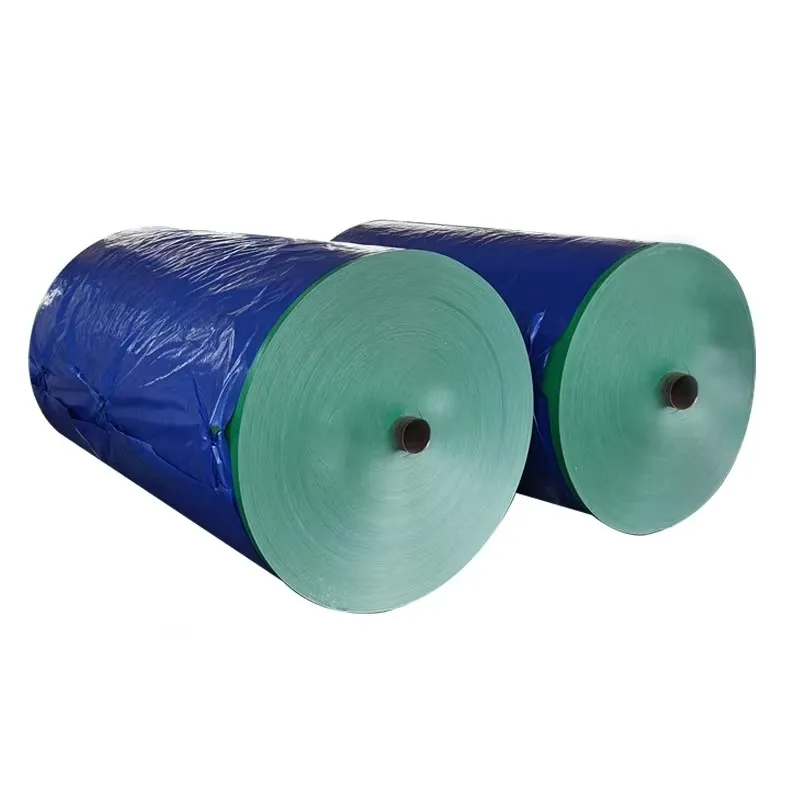 ￼ OEM China Manufacturer Customizable Polyethylene Tarpaulin PE Tarp White