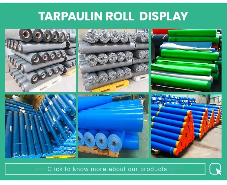 ￼ OEM China Manufacturer Customizable Polyethylene Tarpaulin PE Tarp White