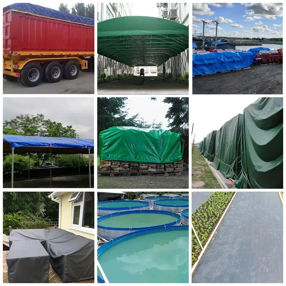 ￼ OEM China Manufacturer Customizable Polyethylene Tarpaulin PE Tarp White